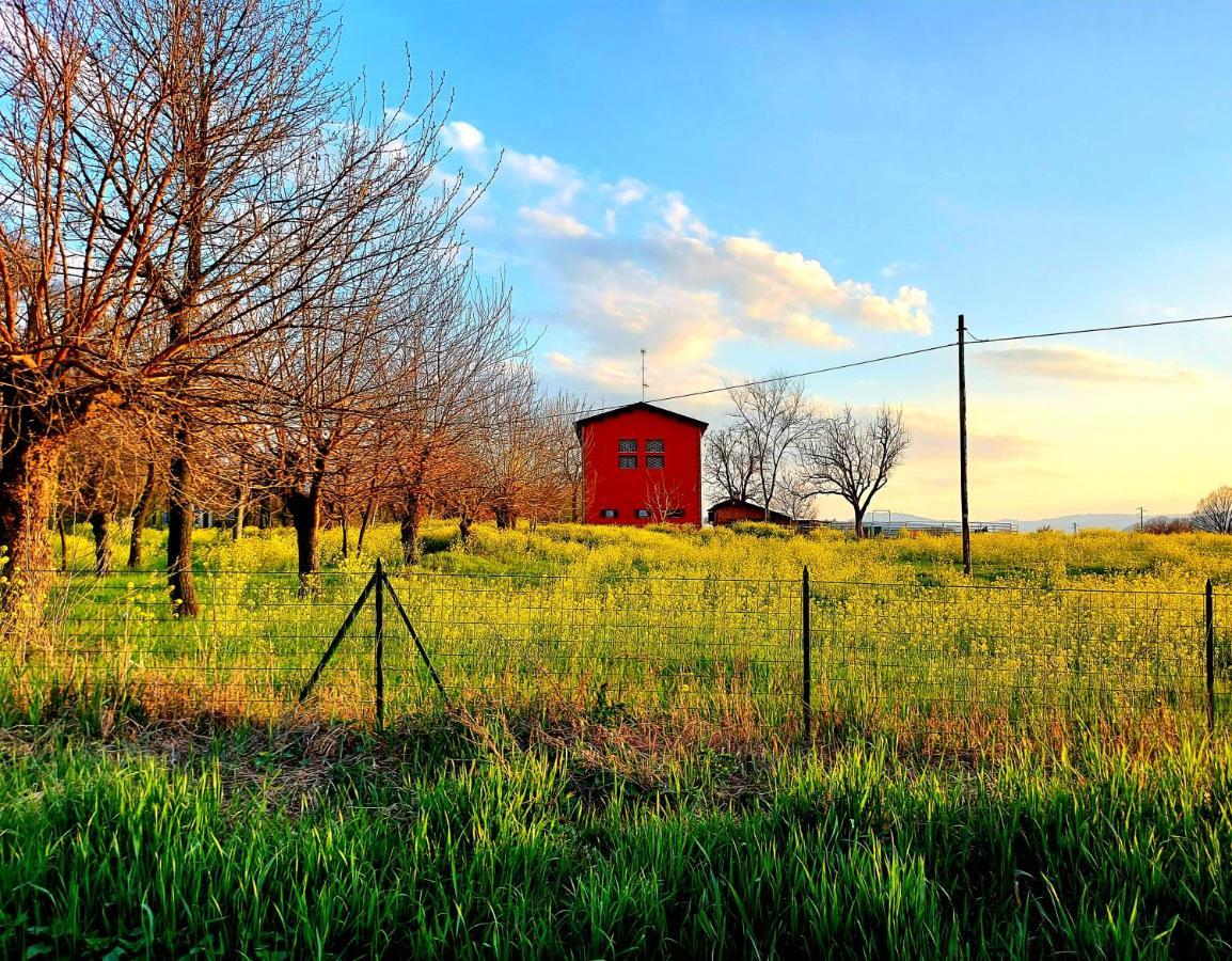 Agriturismo Azienda Agricola Ferrari M.Rita Pozza Exteriör bild