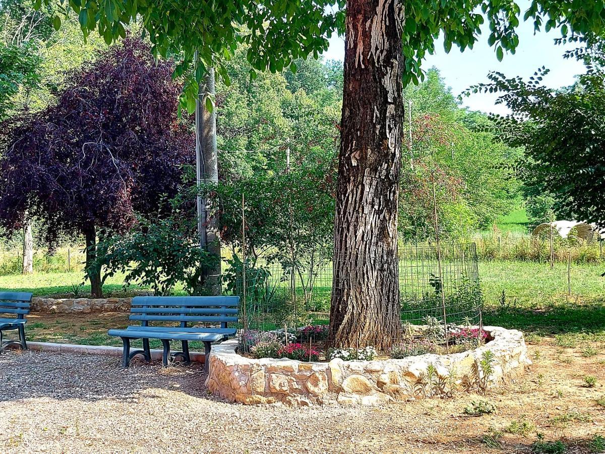 Agriturismo Azienda Agricola Ferrari M.Rita Pozza Exteriör bild