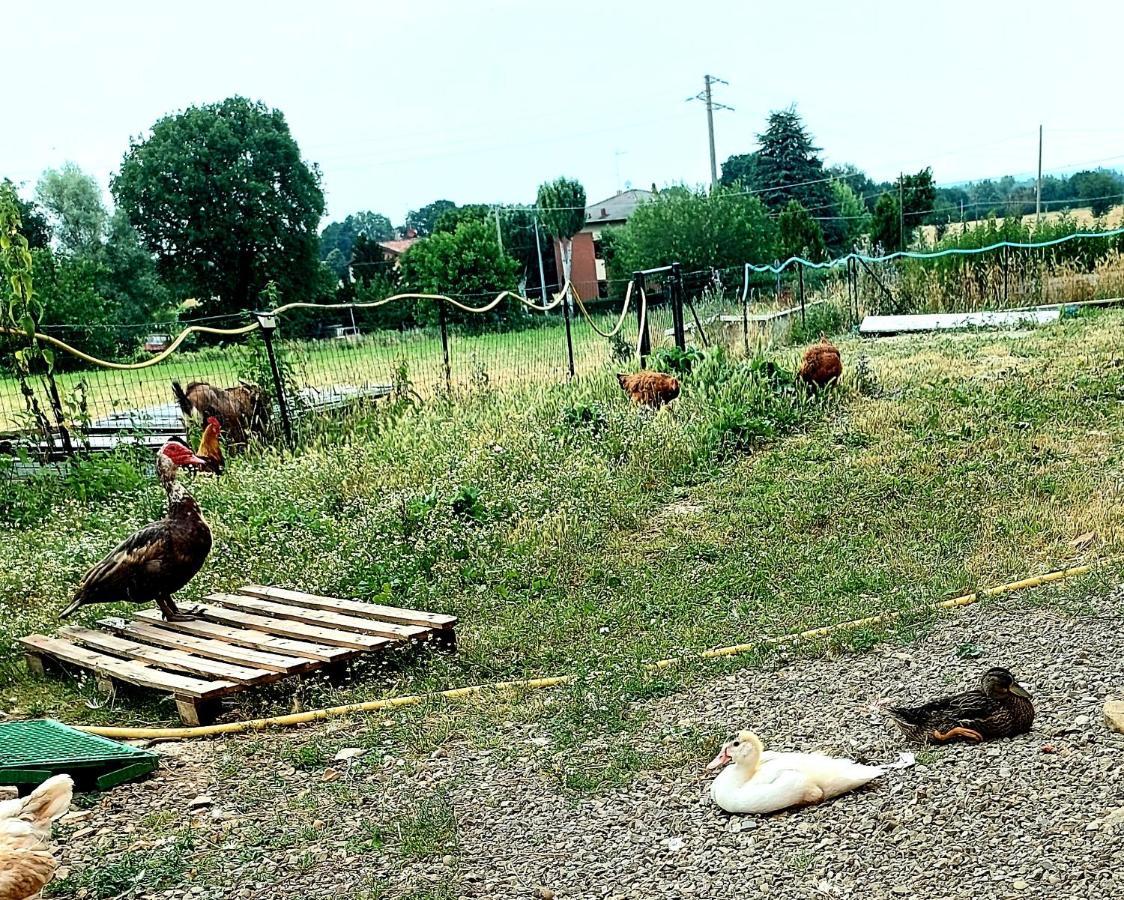Agriturismo Azienda Agricola Ferrari M.Rita Pozza Exteriör bild